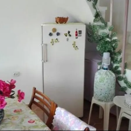 Adaevi Holiday Türkeli
