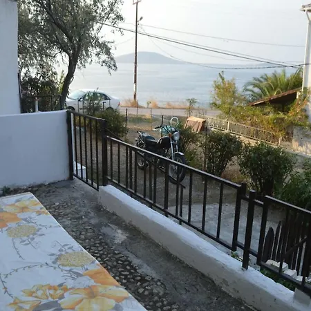 Adaevi Holiday *