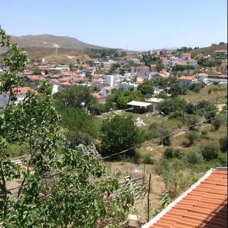 Adaevi Holiday